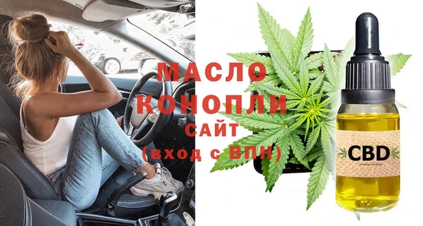 гидра Бородино