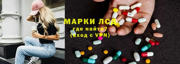 PSILOCYBIN Верея