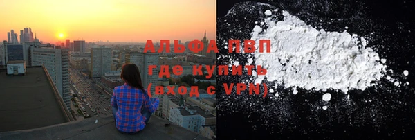 гидра Бородино