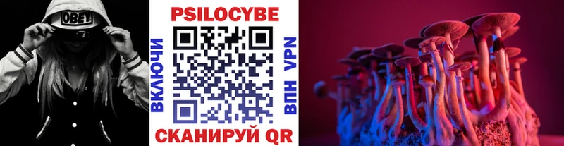 Псилоцибиновые грибы GOLDEN TEACHER  Волосово 