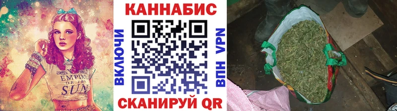 Конопля гибрид  Волосово 